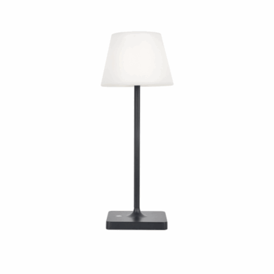 ^LED SMD TABLE BATTERY LUMINAIRE 2W 170LM 3.000K DARK GREY 360° CRI80 IP54